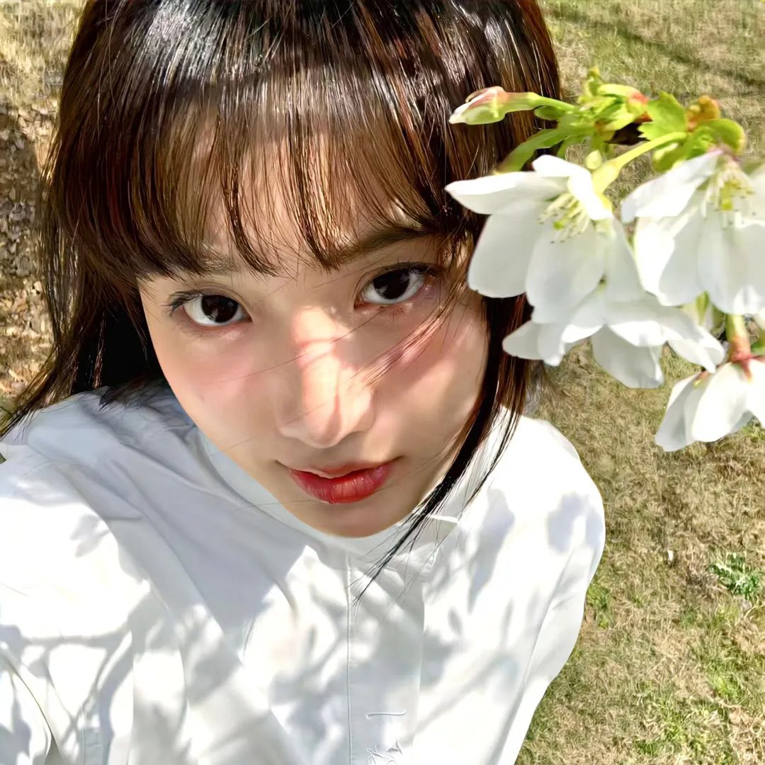 导演 巴特·雷顿